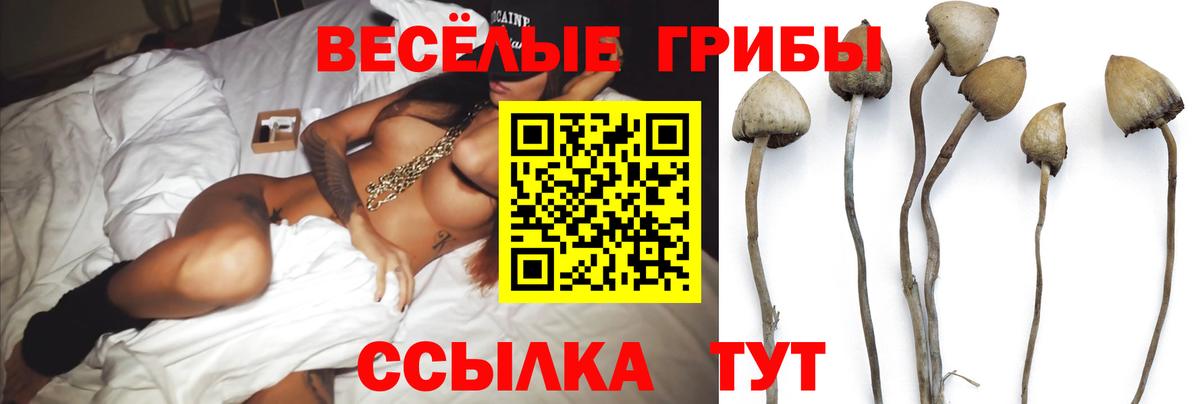 Псилоцибиновые грибы ЛСД Верхняя Пышма