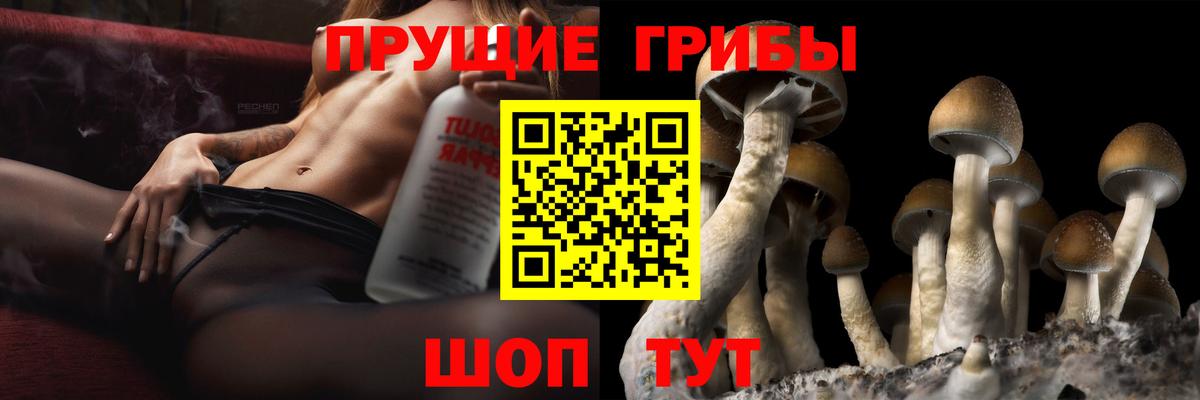 Верхняя Пышма  Галлюциногенные грибы ЛСД  Вход с VPN 